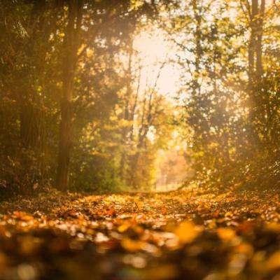 yabo888vip手机app下载